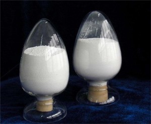 高纯度蘑菇视频app下载